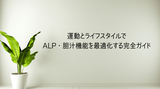 運動とライフスタイルでALP・胆汁機能を最適化する完全ガイド - HAPIVERI