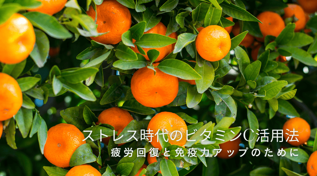 ストレス時代のビタミンC活用法 ~疲労回復と免疫力アップのために - HAPIVERI