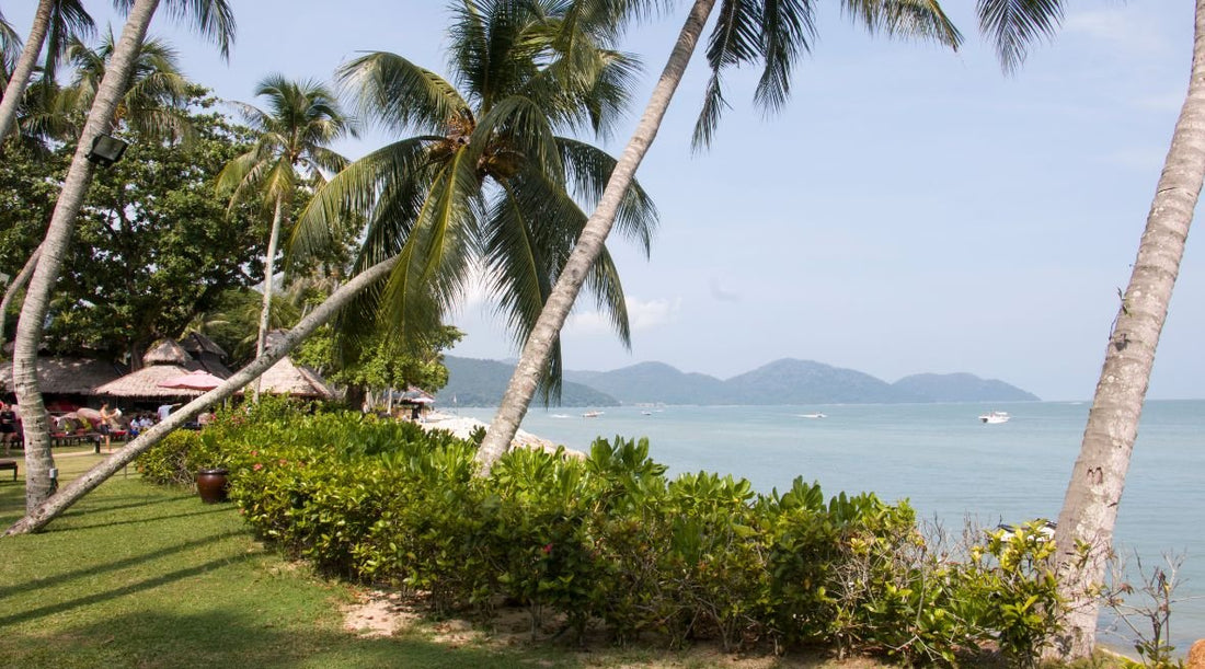 ジョージタウン(マレーシア)へ老後の移住はおすすめ?メリットとデメリット - HAPIVERI