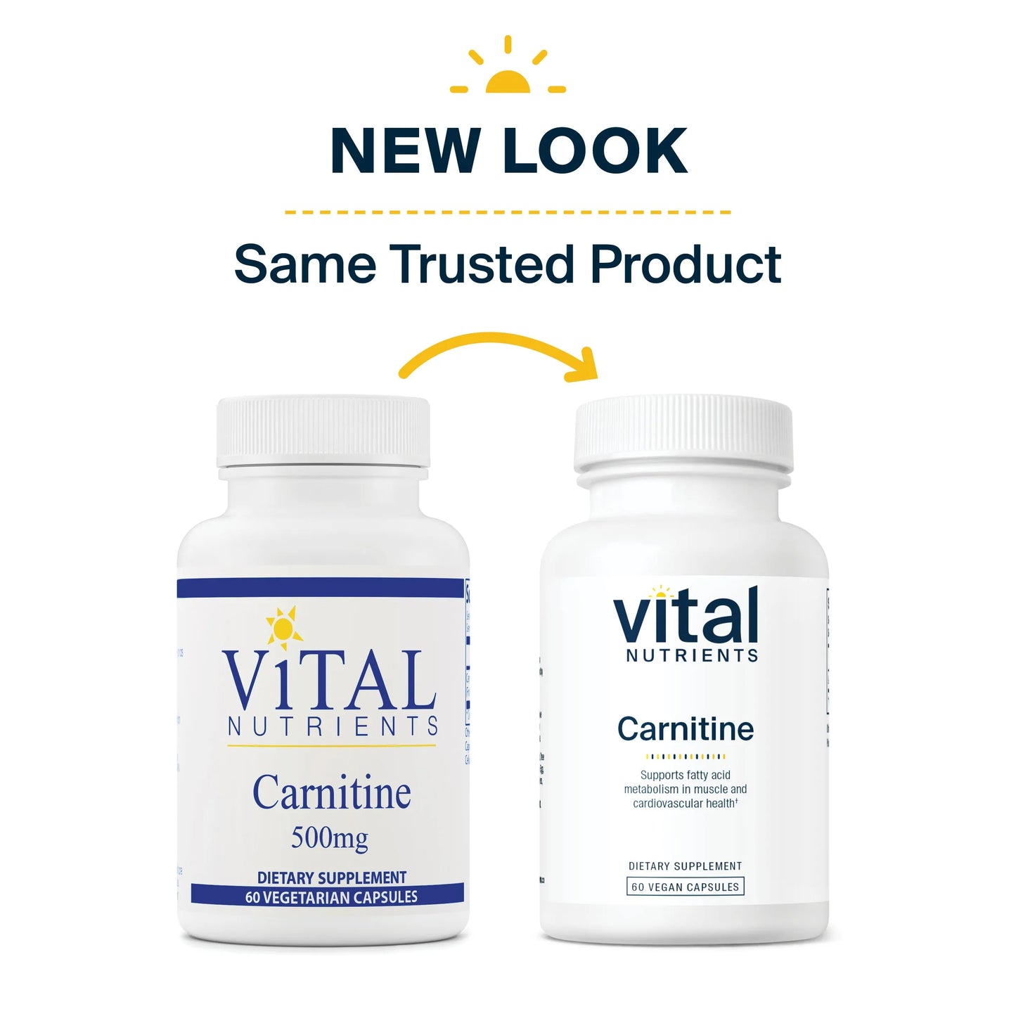 Carnitine 500mg(Vital Nutrition) - HAPIVERI