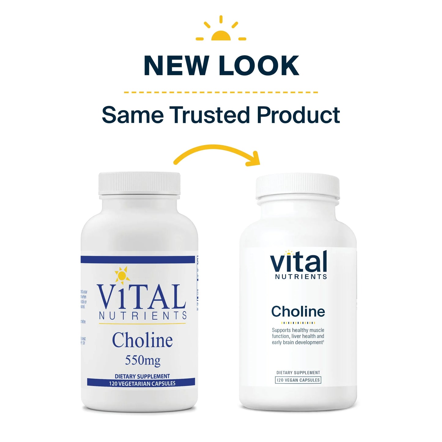 Choline 550mg(Vital Nutrition) - HAPIVERI