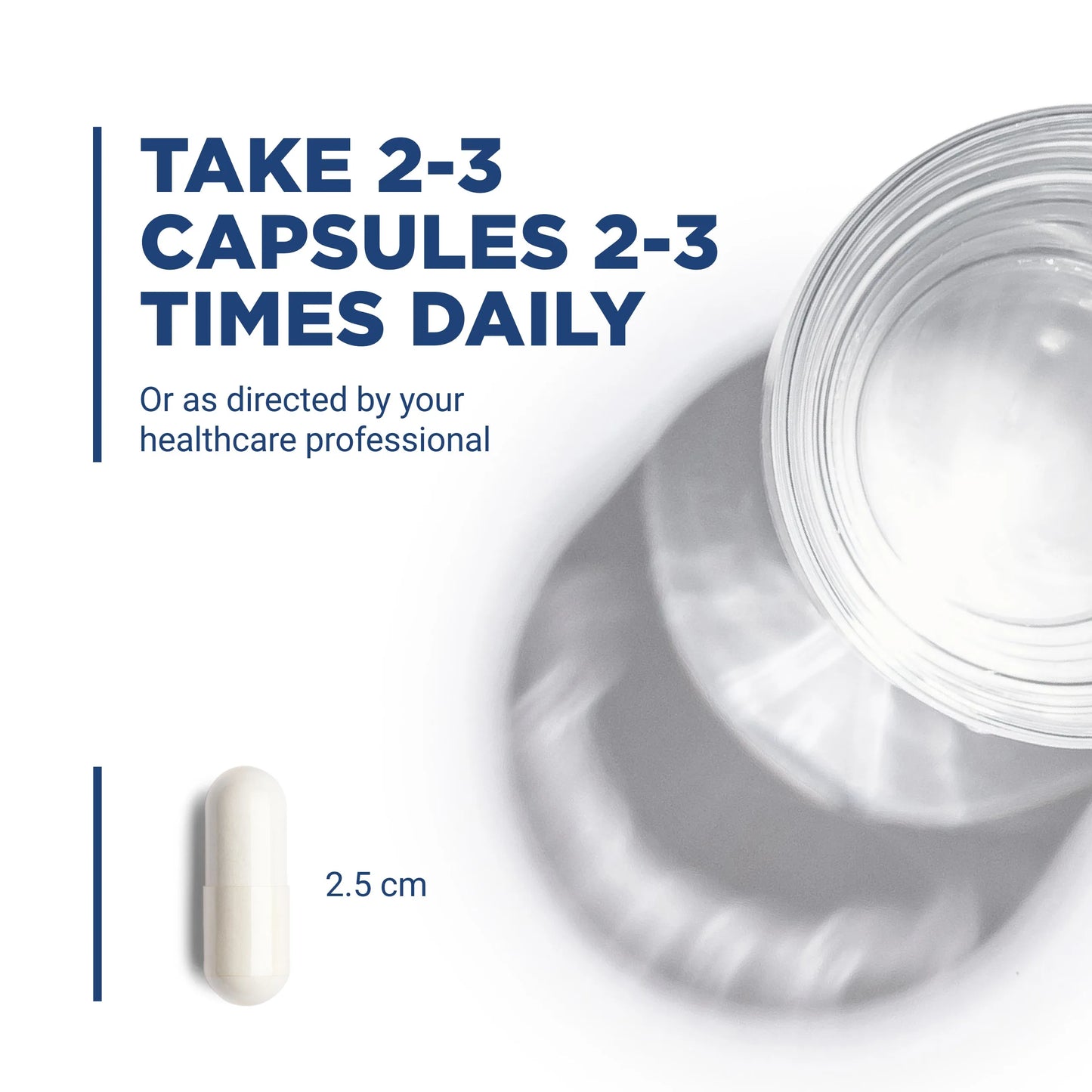 Acetyl L-Carnitine 500mg(Vital Nutrition) - HAPIVERI