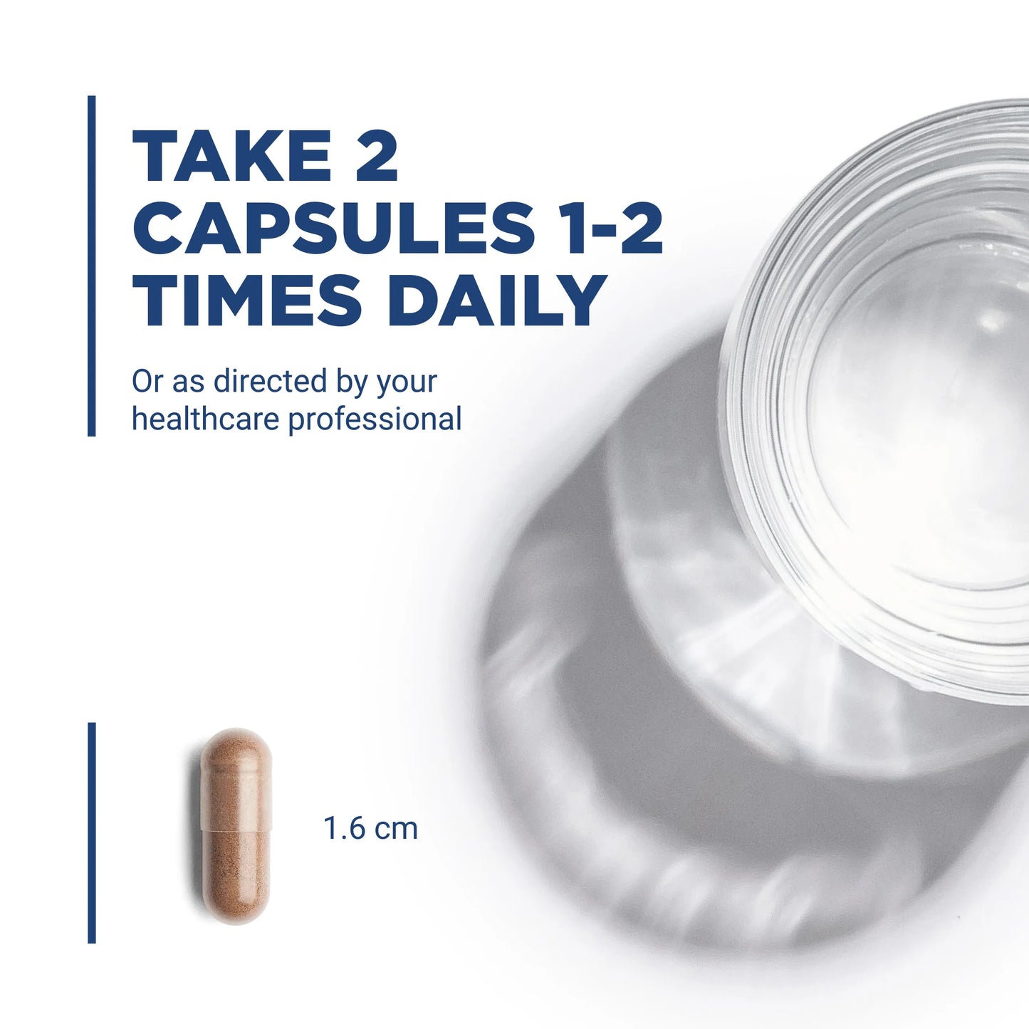 Coleus Forskohlii 10% - 90mg (Vital Nutrition) - HAPIVERI