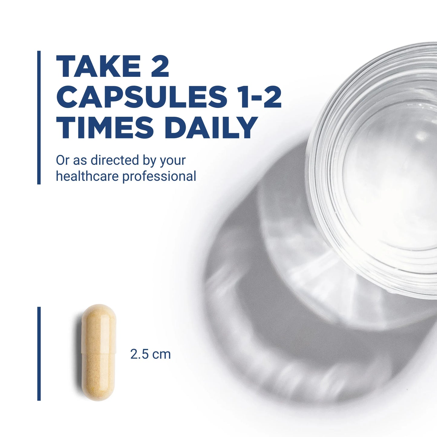 Liver Support II (with Picrorhiza)(Vital Nutrition) - HAPIVERI