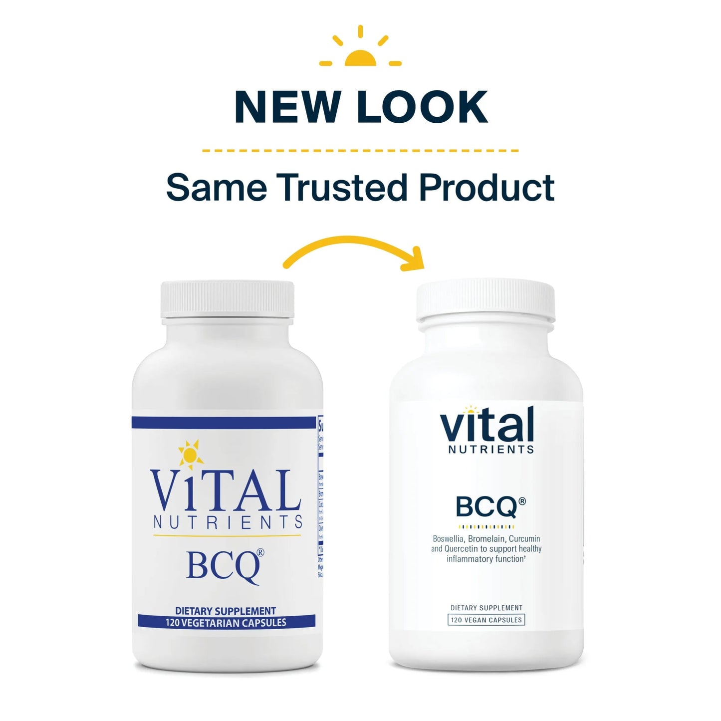 BCQ(Vital Nutrition) - HAPIVERI