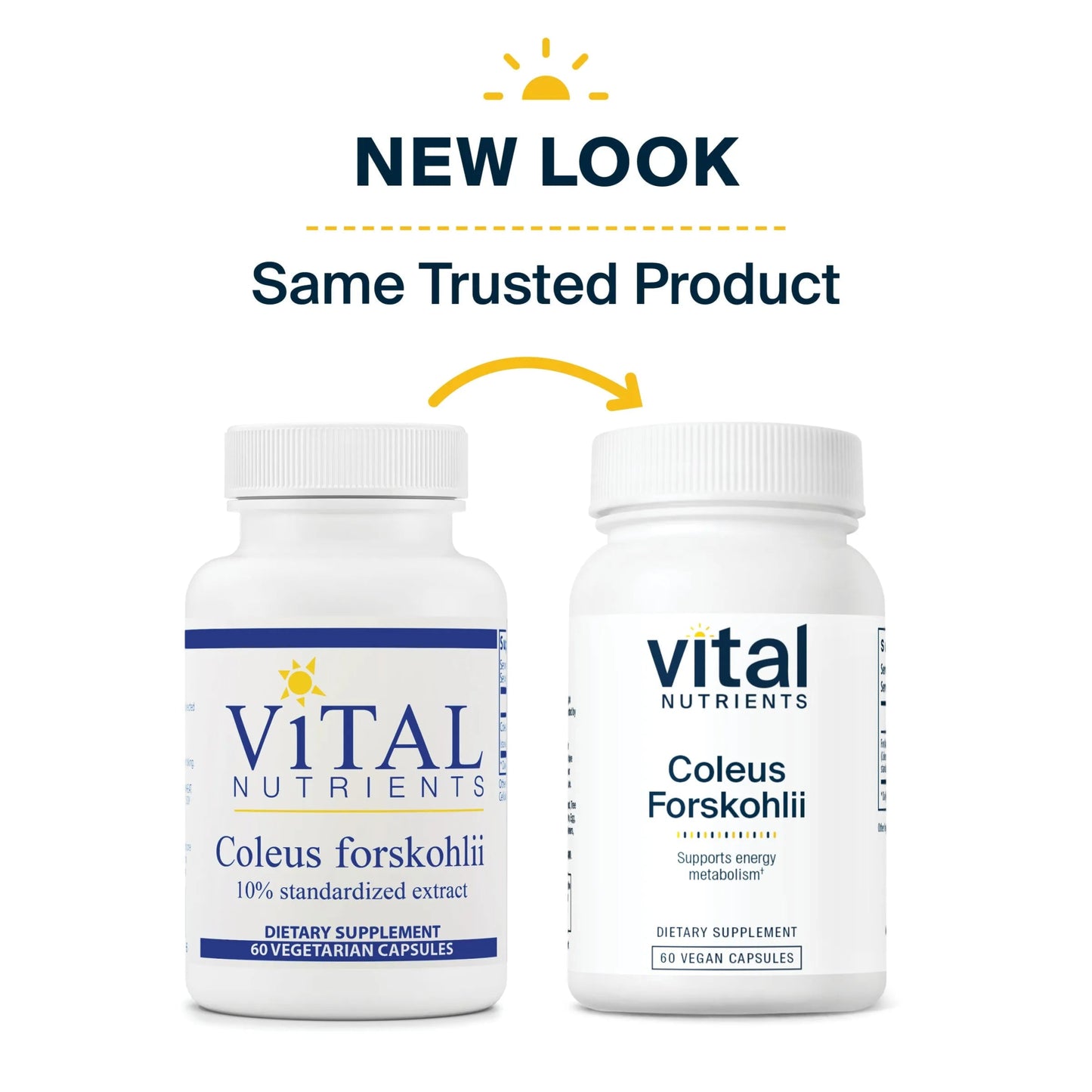 Coleus Forskohlii 10% - 90mg (Vital Nutrition) - HAPIVERI