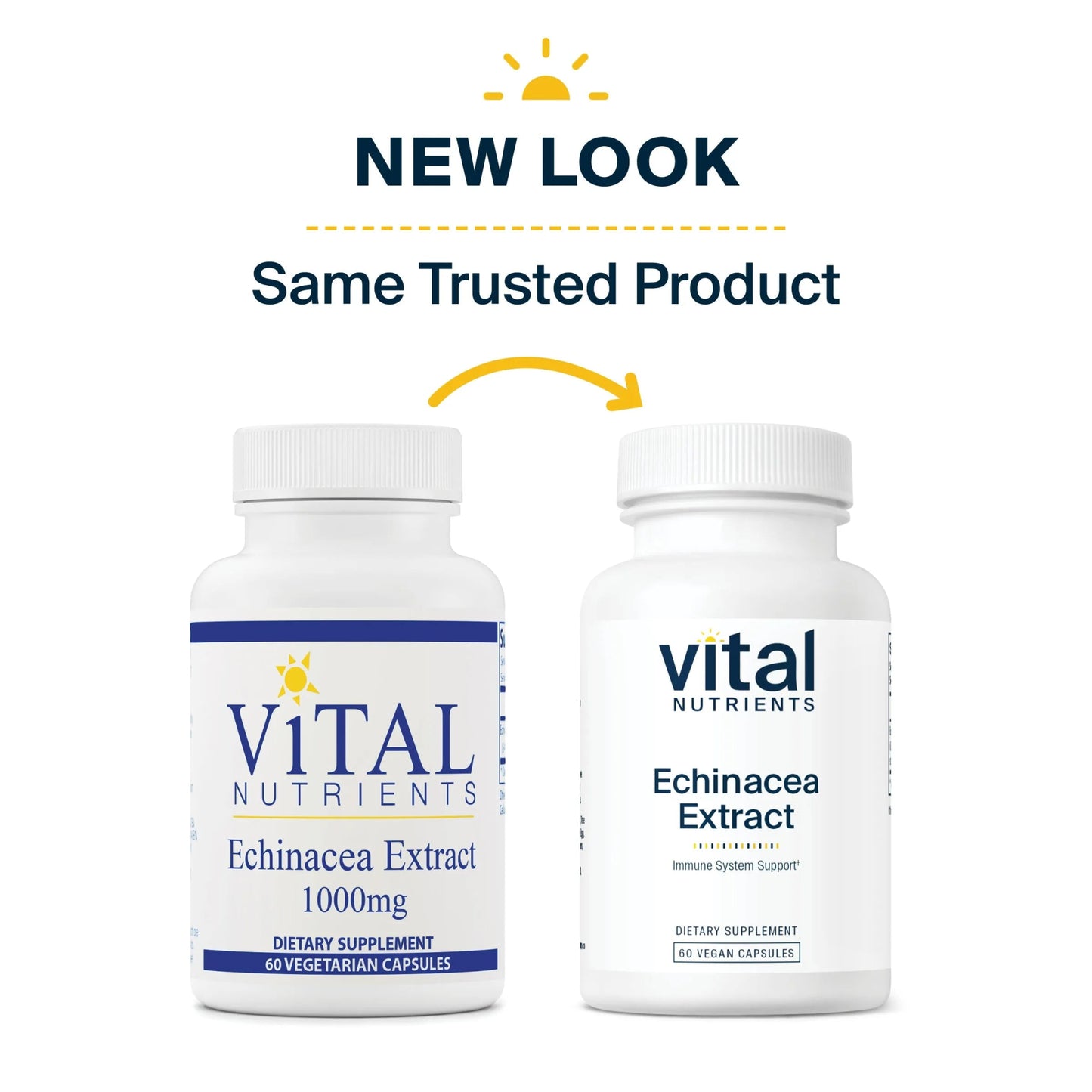 Echinacea Extract 1000mg (Vital Nutrition) - HAPIVERI