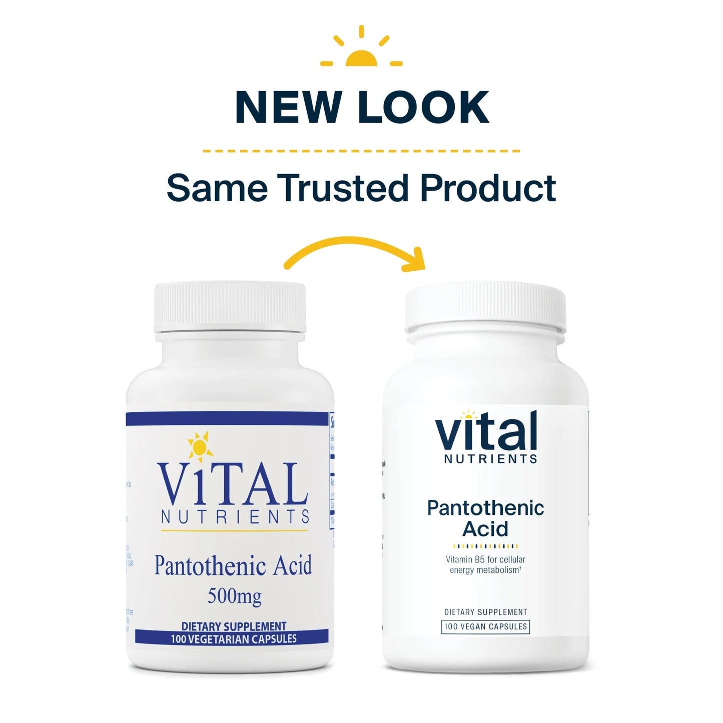 Pantothenic Acid 500mg(Vital Nutrition) - HAPIVERI