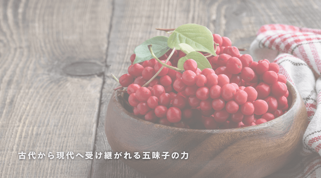 古代から現代へ受け継がれる五味子の力：2000年の歴史が証明する健康効果 - HAPIVERI