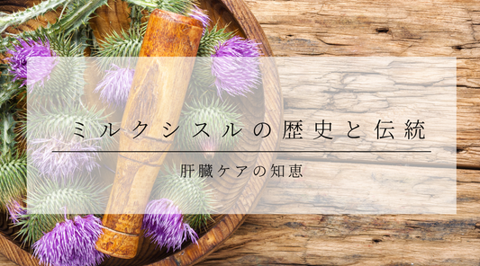 ミルクシスルの歴史と伝統：肝臓ケアの知恵