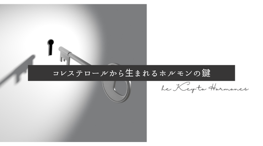 コレステロールから生まれるホルモンの鍵