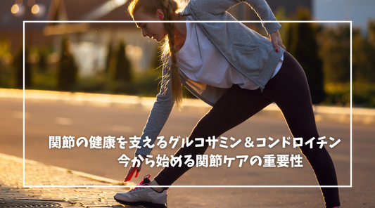 関節の健康を支えるグルコサミン＆コンドロイチン