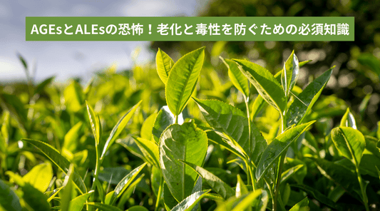 AGEsとALEsの恐怖！老化と毒性を防ぐための必須知識 - HAPIVERI