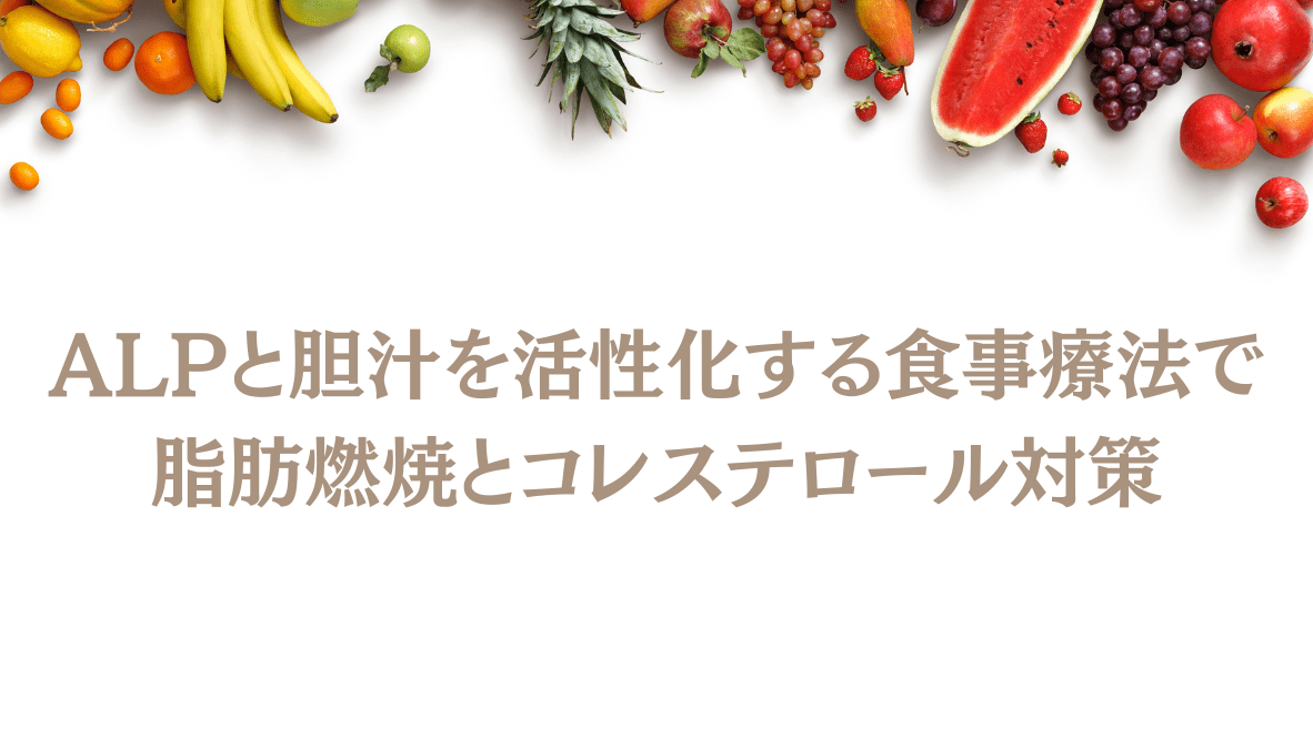 ALPと胆汁を活性化する食事療法で脂肪燃焼とコレステロール対策 - HAPIVERI