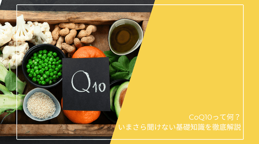 CoQ10って何？いまさら聞けない基礎知識を徹底解説 - HAPIVERI