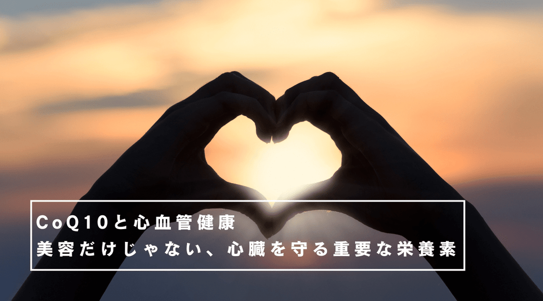 CoQ10と心血管健康：美容だけじゃない、心臓を守る重要な栄養素 - HAPIVERI