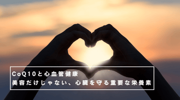 CoQ10と心血管健康：美容だけじゃない、心臓を守る重要な栄養素 - HAPIVERI