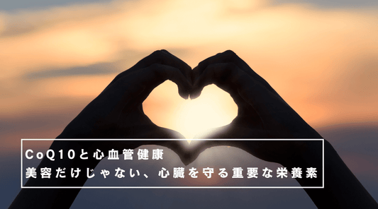CoQ10と心血管健康：美容だけじゃない、心臓を守る重要な栄養素 - HAPIVERI