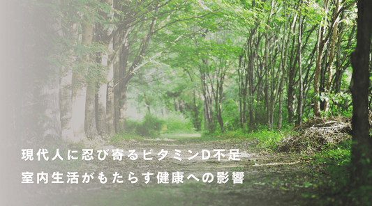 現代人に忍び寄るビタミンD不足 - 室内生活がもたらす健康への影響 - HAPIVERI