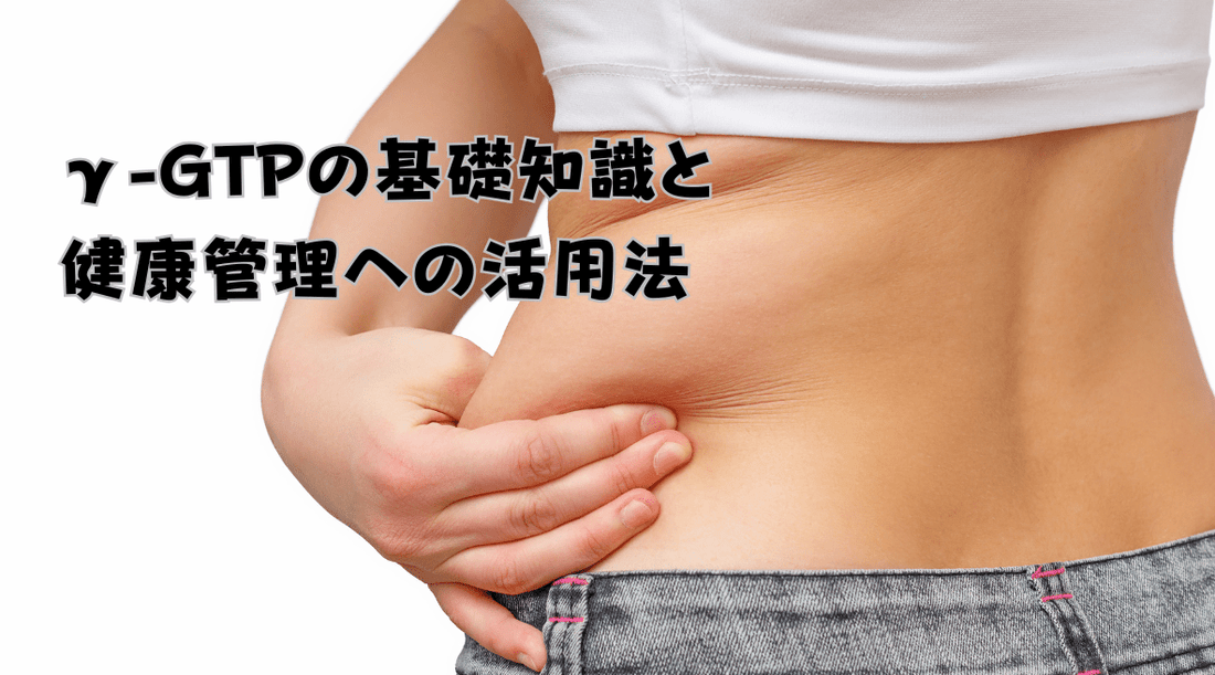 γ-GTPの基礎知識と健康管理への活用法 - HAPIVERI