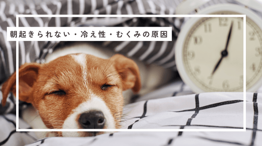 朝起きられない・冷え性・むくみの原因 - HAPIVERI