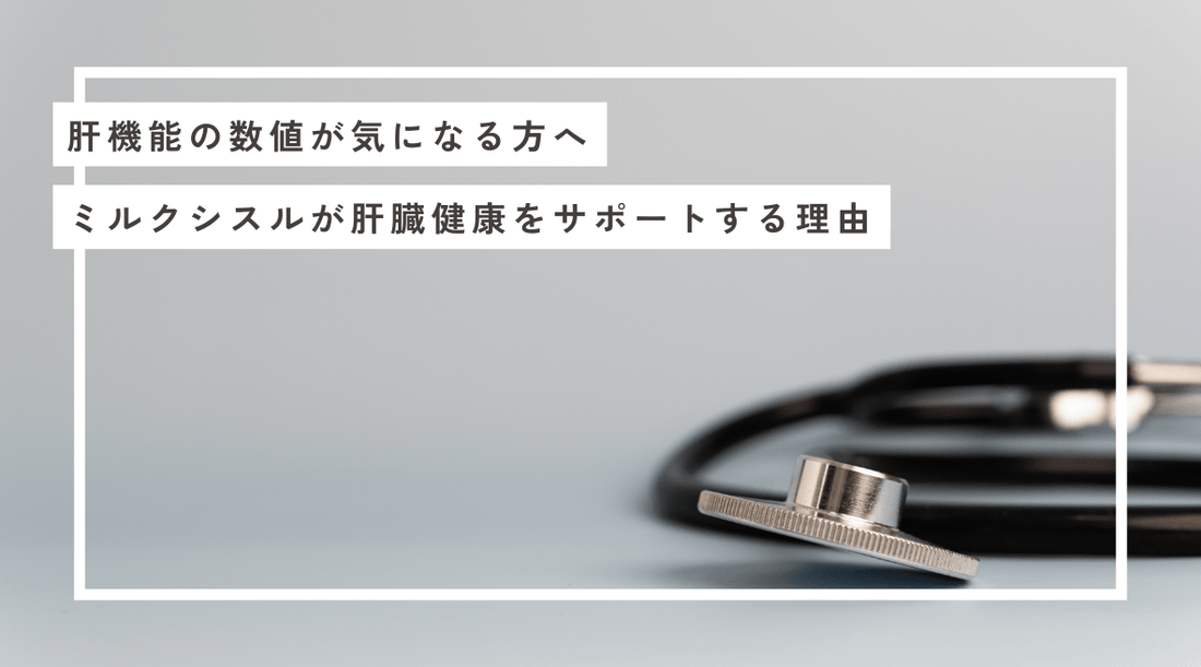肝機能の数値が気になる方へ：ミルクシスルが肝臓健康をサポートする理由 - HAPIVERI