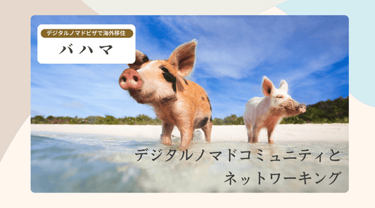 バハマのデジタルノマドコミュニティとネットワーキング - HAPIVERI