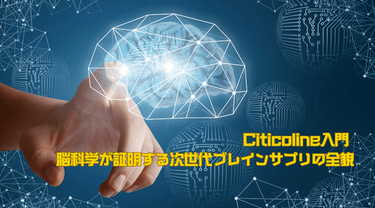 シチコリン入門 - 脳科学が証明する次世代ブレインサプリの全貌 - HAPIVERI