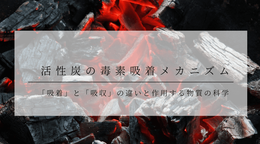 活性炭の毒素吸着メカニズム：「吸着」と「吸収」の違いと作用する物質の科学 - HAPIVERI