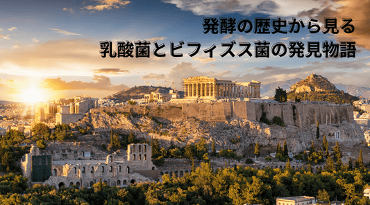 発酵の歴史から見る乳酸菌とビフィズス菌の発見物語 - HAPIVERI