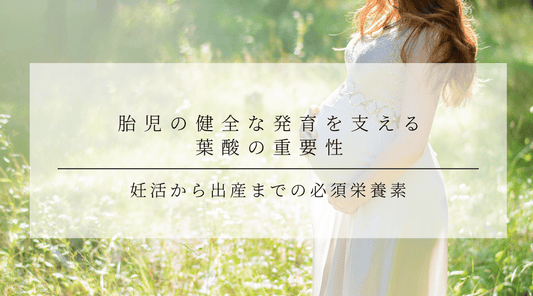 胎児の健全な発育を支える葉酸の重要性 〜妊活から出産までの必須栄養素 - HAPIVERI