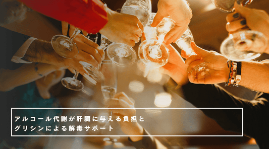 アルコール代謝が肝臓に与える負担とグリシンによる解毒サポート - HAPIVERI