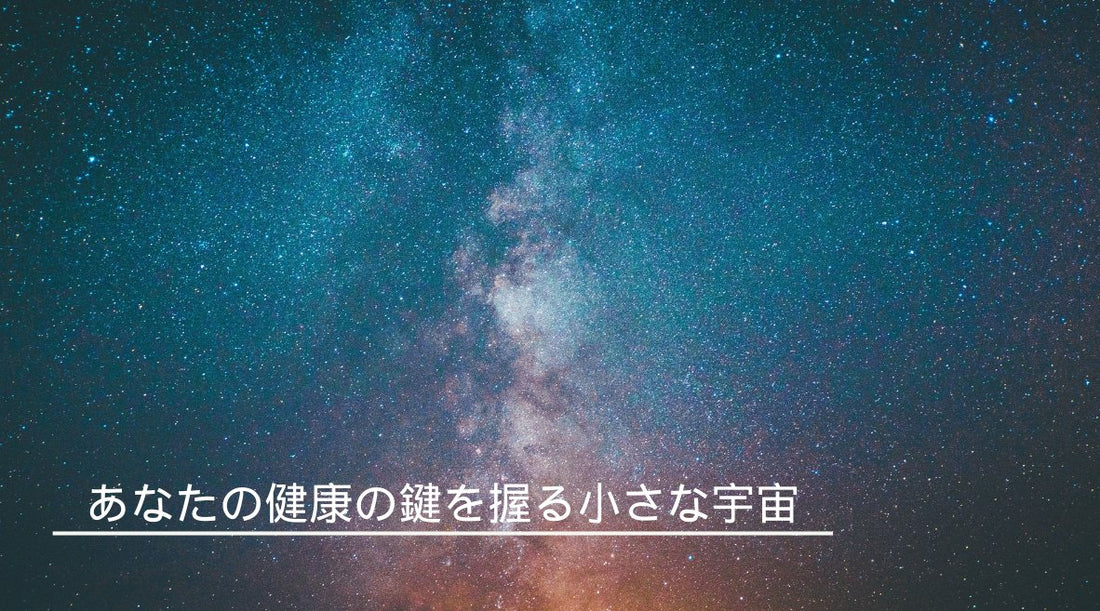 腸の不思議：あなたの健康の鍵を握る小さな宇宙 - HAPIVERI