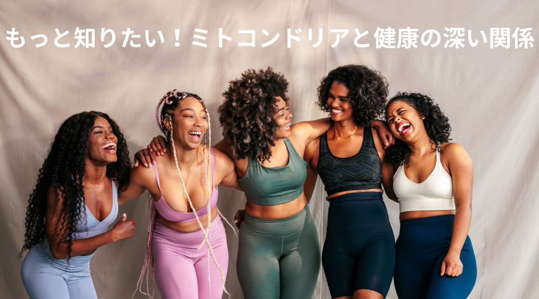 もっと知りたい！ミトコンドリアと健康の深い関係 - HAPIVERI