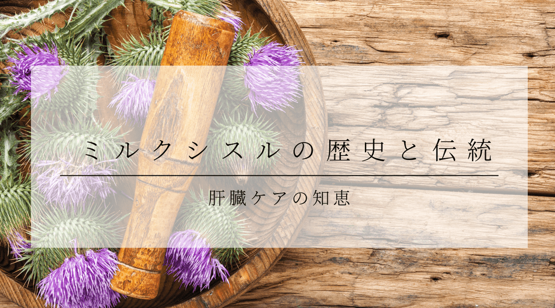 ミルクシスルの歴史と伝統：肝臓ケアの知恵 - HAPIVERI