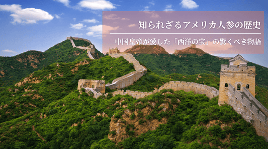 知られざるアメリカ人参の歴史：中国皇帝が愛した「西洋の宝」の驚くべき物語 - HAPIVERI