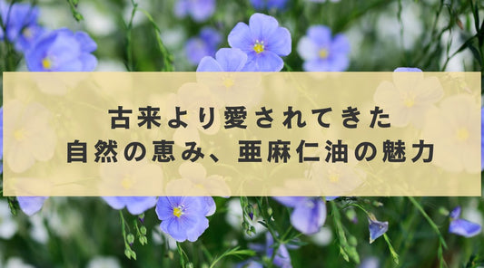 古来より愛されてきた自然の恵み、亜麻仁油の魅力 - HAPIVERI