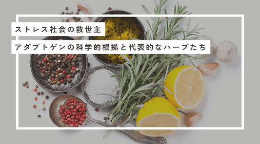 ストレス社会の救世主：アダプトゲンの科学的根拠と代表的なハーブたち - HAPIVERI