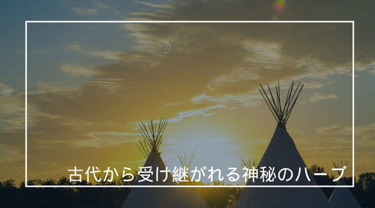 古代から受け継がれる神秘のハーブ - HAPIVERI