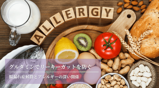 グルタミンでリーキーガットを防ぐ：腸漏れ症候群とアレルギーの深い関係 - HAPIVERI