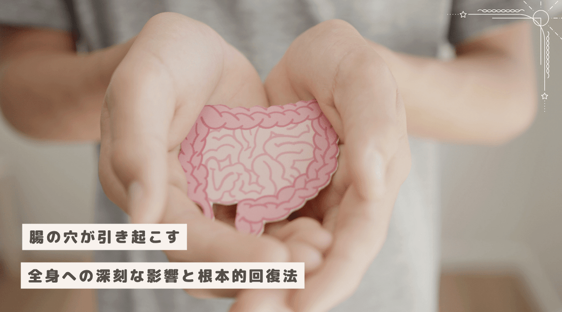 腸の穴が引き起こす全身への深刻な影響と根本的回復法 - HAPIVERI