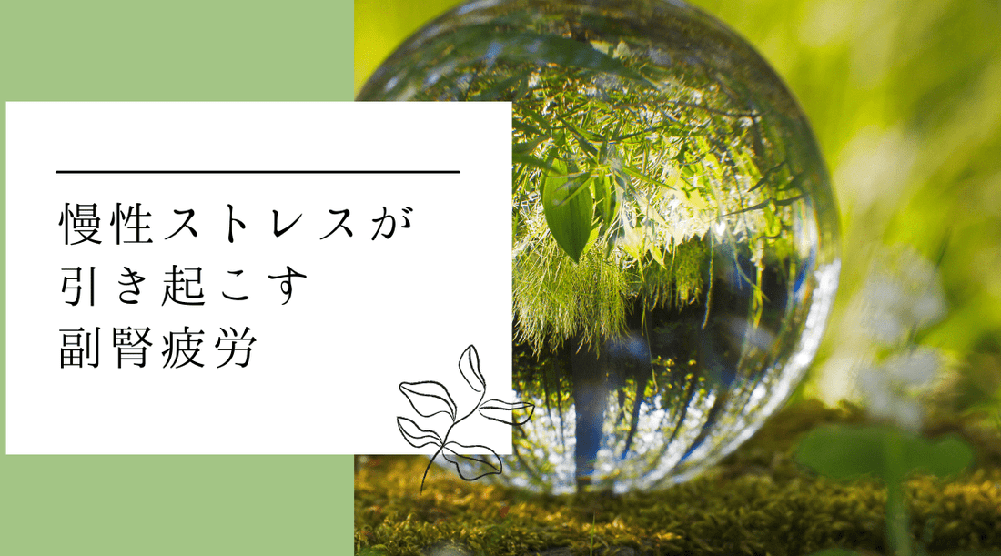 慢性ストレスが引き起こす副腎疲労 - HAPIVERI