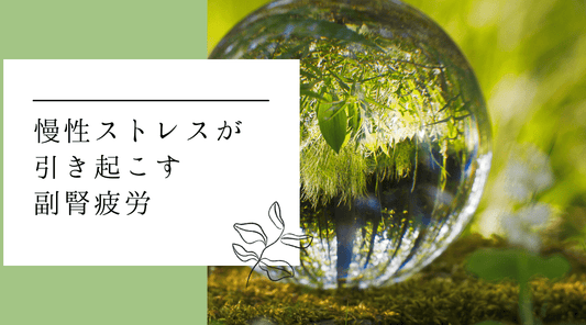 慢性ストレスが引き起こす副腎疲労 - HAPIVERI