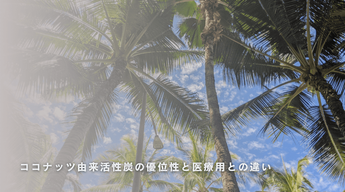 ココナッツ由来活性炭の優位性と医療用との違い - HAPIVERI