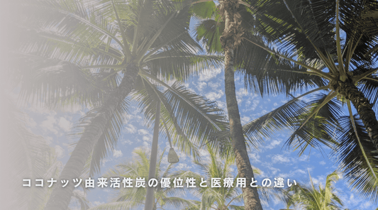 ココナッツ由来活性炭の優位性と医療用との違い - HAPIVERI