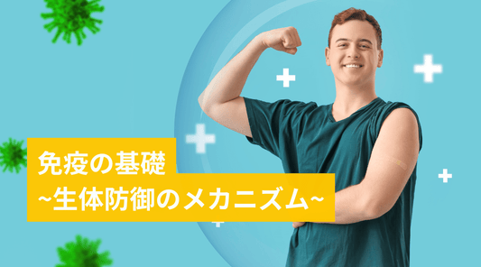 免疫の基礎~生体防御のメカニズム - HAPIVERI