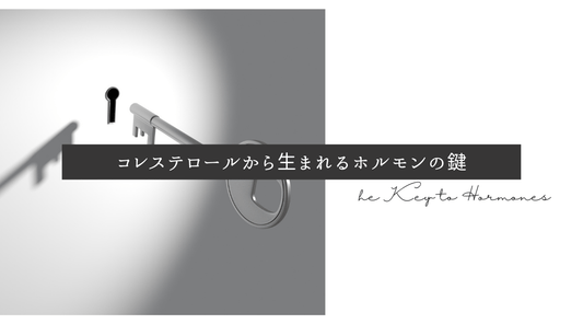 コレステロールから生まれるホルモンの鍵 - HAPIVERI