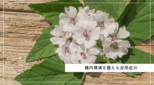 腸内環境を整える自然成分 - HAPIVERI