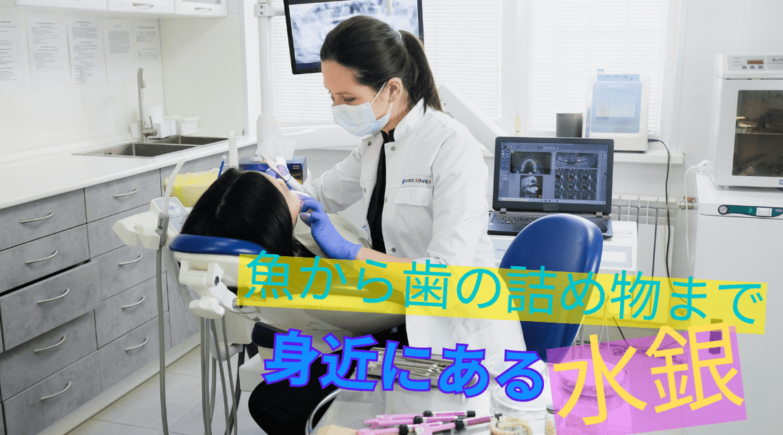 魚から歯の詰め物まで：身近にある水銀 - HAPIVERI