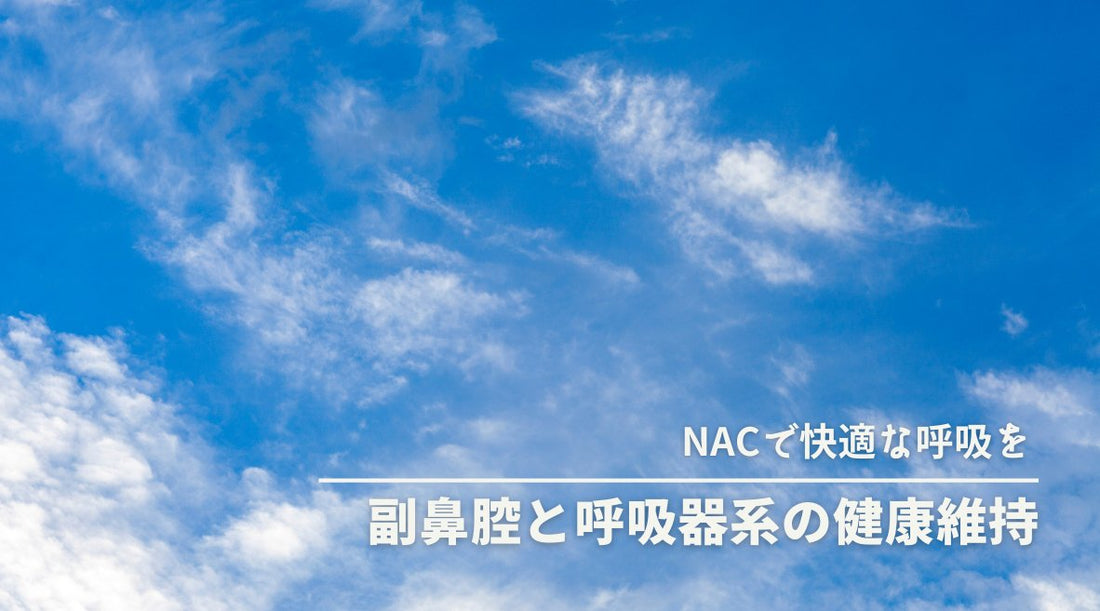 NACで快適な呼吸を - 副鼻腔と呼吸器系の健康維持 - HAPIVERI